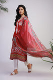 Shameel Ansari Gulrang-04 Gulrang Premium Lawn 2025