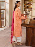 Raj Bari Design # 04 Amari Hybrid Jacquard Edition 2025