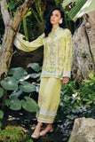 Qalamkar OP-03 Alva Printed Co-ords 2025
