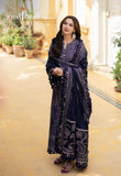 Asim Jofa AJKI-05 Pashmina Winter 2024