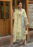 Crimson Sun Kissed - Lemon Luxury Lawn 2024