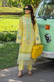 Rang Rasiya Ayla Carnation Festive Edition 2024
