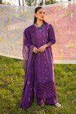 Rang Rasiya Nora Carnation Festive Edition 2024