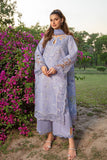 Rang Rasiya Eva Carnation Festive Edition 2024