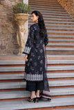 Afrozeh Anisa B Damask The Holiday Edit 2025