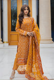 Emaan Adeel AT-02 Roohi  Ishq Aatish Collection 2024