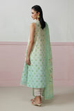Qalamkar QQP-07 (B) Della Q Prints Drop II 2026