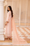 Raj Bari Design # 10 Nissa Chikankari Lawn 2024