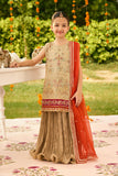 Alizeh AFK-ZN-1005-Dilruba Shehnai - The Festive Edit 2025
