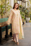 Rang Rasiya Ivy Lifestyle Summer Edit 2025