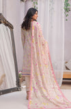 Alzohaib CDP-4-25-01 Colors Digital Printed Edition 2025