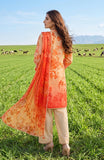 Al Zohaib CDC-26-10 Colors Lawn With Chiffon Dupatta 2026