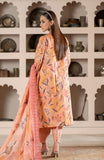 Alzohaib SBP-25-11 Sunshine Bloom Premium Lawn 2025