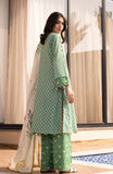 Alzohaib AZP-25-12 Premium Prints 2025