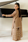 Alizeh AFK-BCH-1007-Dise Aymal V4 Bamber Chiffon Collection 2026
