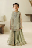 Alizeh AFK-BCH-1010-Javi Aymal V4 Bamber Chiffon Collection 2026
