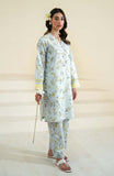 Seran Cleo Daffodils Summer Lawn  2024