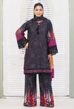 Adan Libas  Slub 7778 Winter Collection 2025