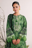 Nureh DD-30 Daily Delight 2026