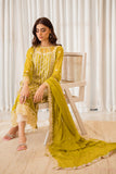 Azure Amber Glow Ensembles 2025