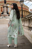 Al Zohaib SBE-2-26-03 Sunshine Bloom Premium 2026