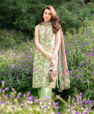 Sapphire 3PEDY24DFV81 Signature Fall Winter 2024