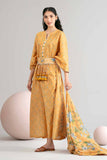 Nishat Linen 42602436 Freedom To Buy 2026