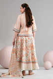 Nishat Linen 42602451 Freedom To Buy 2026