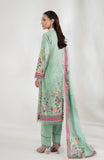 Alzohaib CDP-2-25-05 Colors Digital Printed Edition 2025
