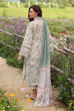 Baroque UF-4233 Summer Lawn 2025