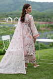 Baroque UF-4236 Summer Lawn 2025