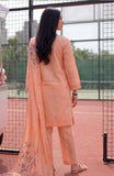 Alzohaib CC-6-26-08 Coco Cords Printed  2026