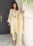 Addee USA-1058 Mehro Maah Collection 2024