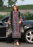 Elaf Premium EPW-8B Boundless Dreams Winter Pashmina Shawl  2024