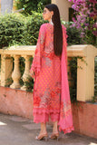 Charizma CRS4-16 Reem-Vol-02 2024