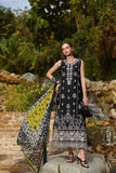 Saadia Asad D3-B Noor Luxe Chikankaari 2025