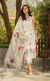 Asifa N Nabeel Aster 7 Meraki Summer Lawn Vol 1 2024