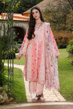 Rang Rasiya Daisy Lifestyle Summer 2026
