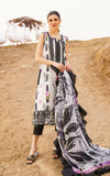 Asifa N Nabeel Echo 6 Meraki Summer Lawn Vol 1 2024