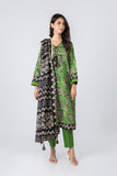 Alkaram FW-22-1-24-Green  Winter Collection 2024