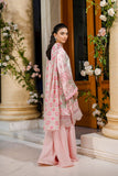 Dhanak FW25DA-2873 Pink Velvet Drop 2 2025