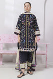 Qalamkar EM-09 (B) Paige Q Prints Vol 2 2025