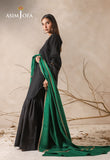 Asim Jofa AJHS-09 Shawl 2024