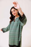 Nishat Linen 2 Piece - Basic Suit - KPS24-21 Mono Prets 2024