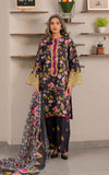 Asifa N Nabeel Kohl Eid Pret 2024