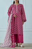 Orient OTL-25-566/U MAROON Winter Dresses 2025