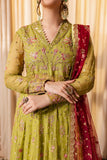 Roheenaz Inaya Naira Chiffon 2024
