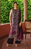 Asifa N Nabeel Siera LWC25-09 Embroidered Pashmina Luxe Winter Collection 2025