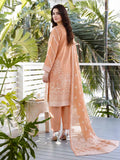 Lime Light U4662SU-3PC-464 Signature Summer Collection 2026