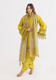 Bonanza Olive Aura - 3 Pc (WUS25DE3049) Satrangi Winter Collection 2025